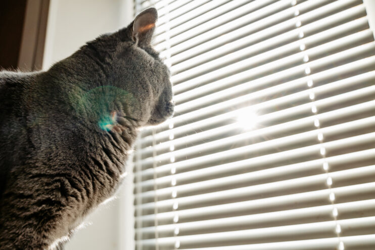 Солнечно и тепло будет в Тверской области в четверг В субботу в Тверской области будет солнечно и без осадков