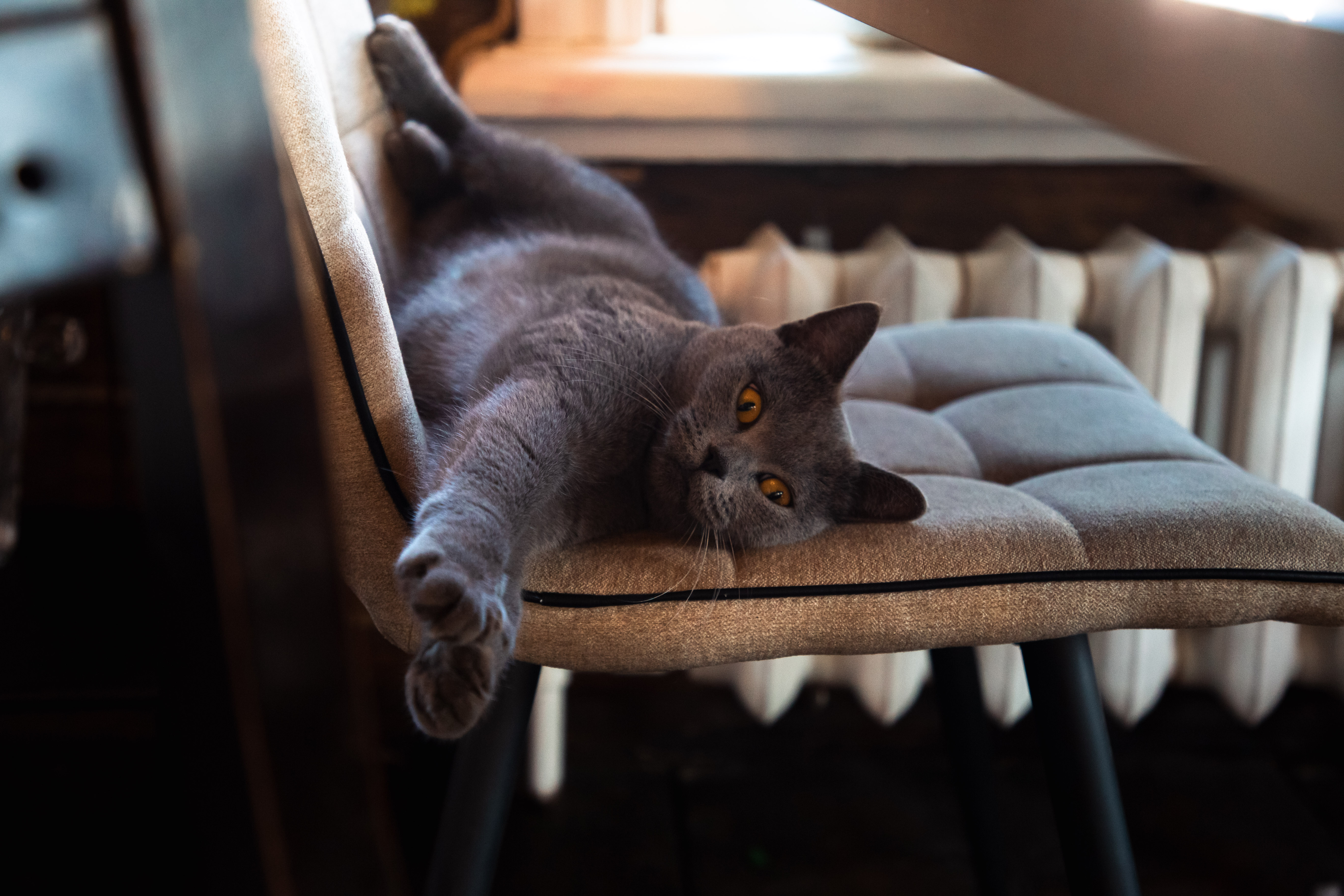 Фотолайфхак: Основное правило творческой фотографии