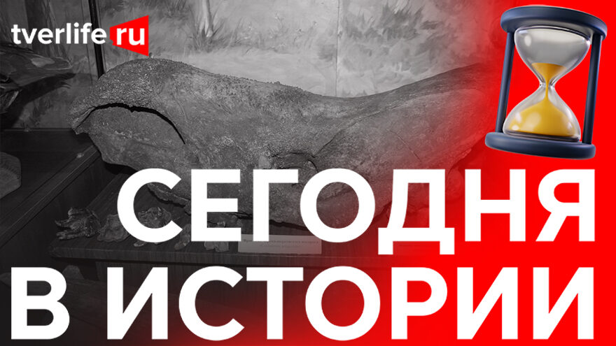 Находка на дне реки Тьмаки: Какой экспонат пополнил коллекцию Калининского краеведческого музея