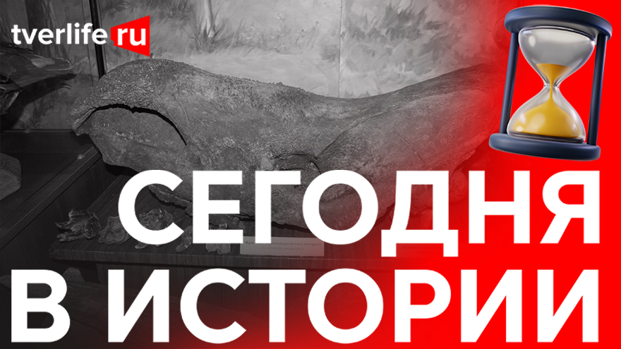 Находка на дне реки Тьмаки: Какой экспонат пополнил коллекцию Калининского краеведческого музея Находка на дне реки Тьмаки: Какой экспонат пополнил коллекцию Калининского краеведческого музея