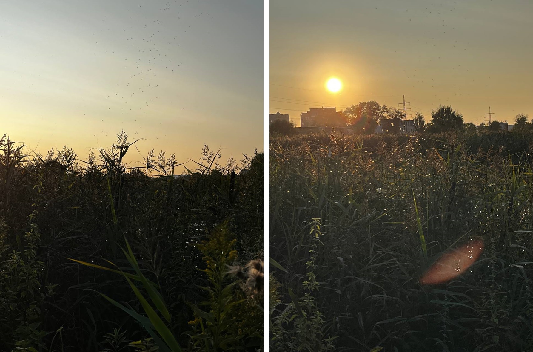 Фотолайфхак: Как правильно поймать закат