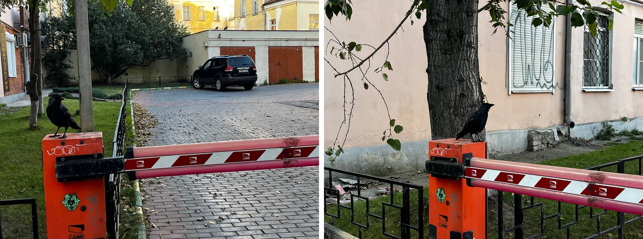 Фотолайфхак: Как «правило третей» спасет ваш снимок