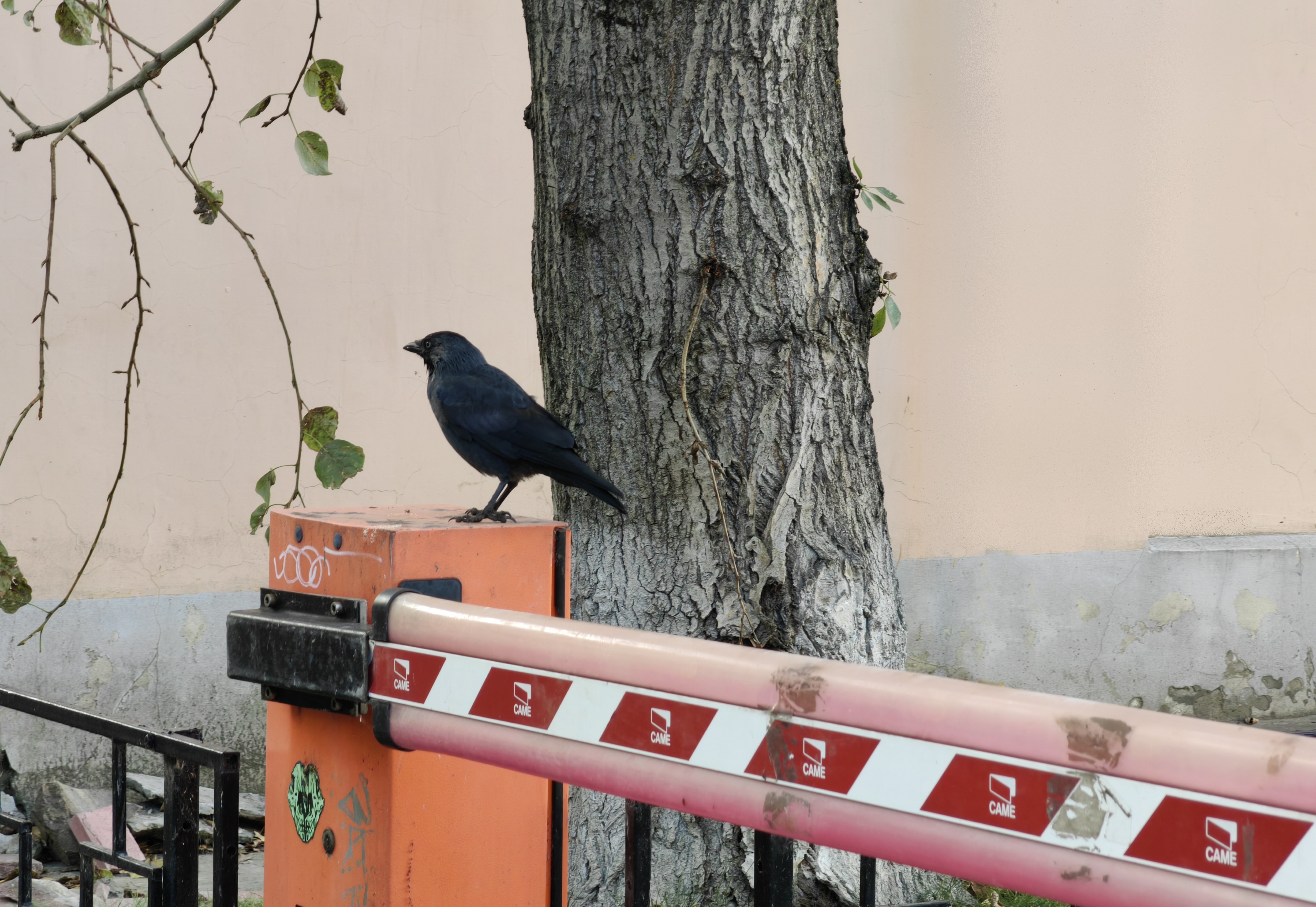 Фотолайфхак: Как «правило третей» спасет ваш снимок