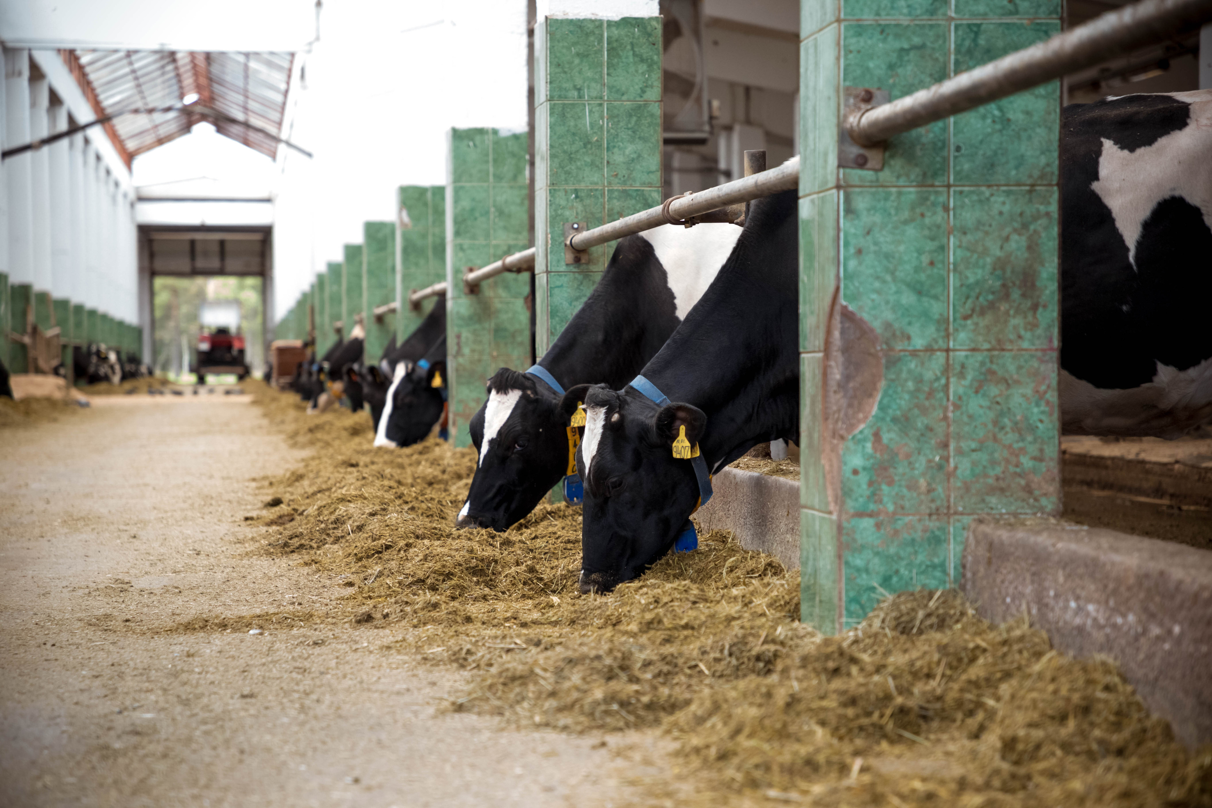 Фотолайфхак: Геометрия в кадре или самое простое правило композиции