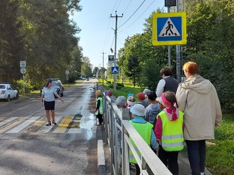 В Андреаполе дошкольникам рассказали о ПДД В Андреаполе дошкольникам рассказали о ПДД
