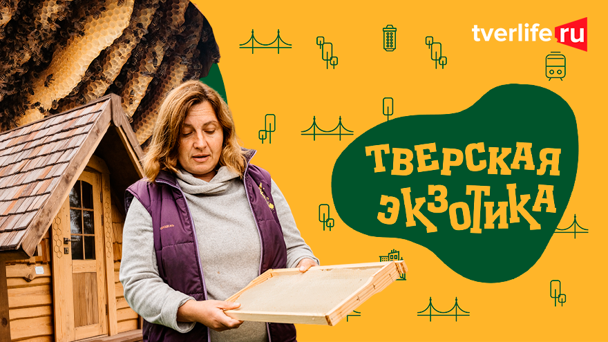 Тверская экзотика: Апидомик или сон на пчелах Тверская экзотика: Апидомик или сон на пчелах