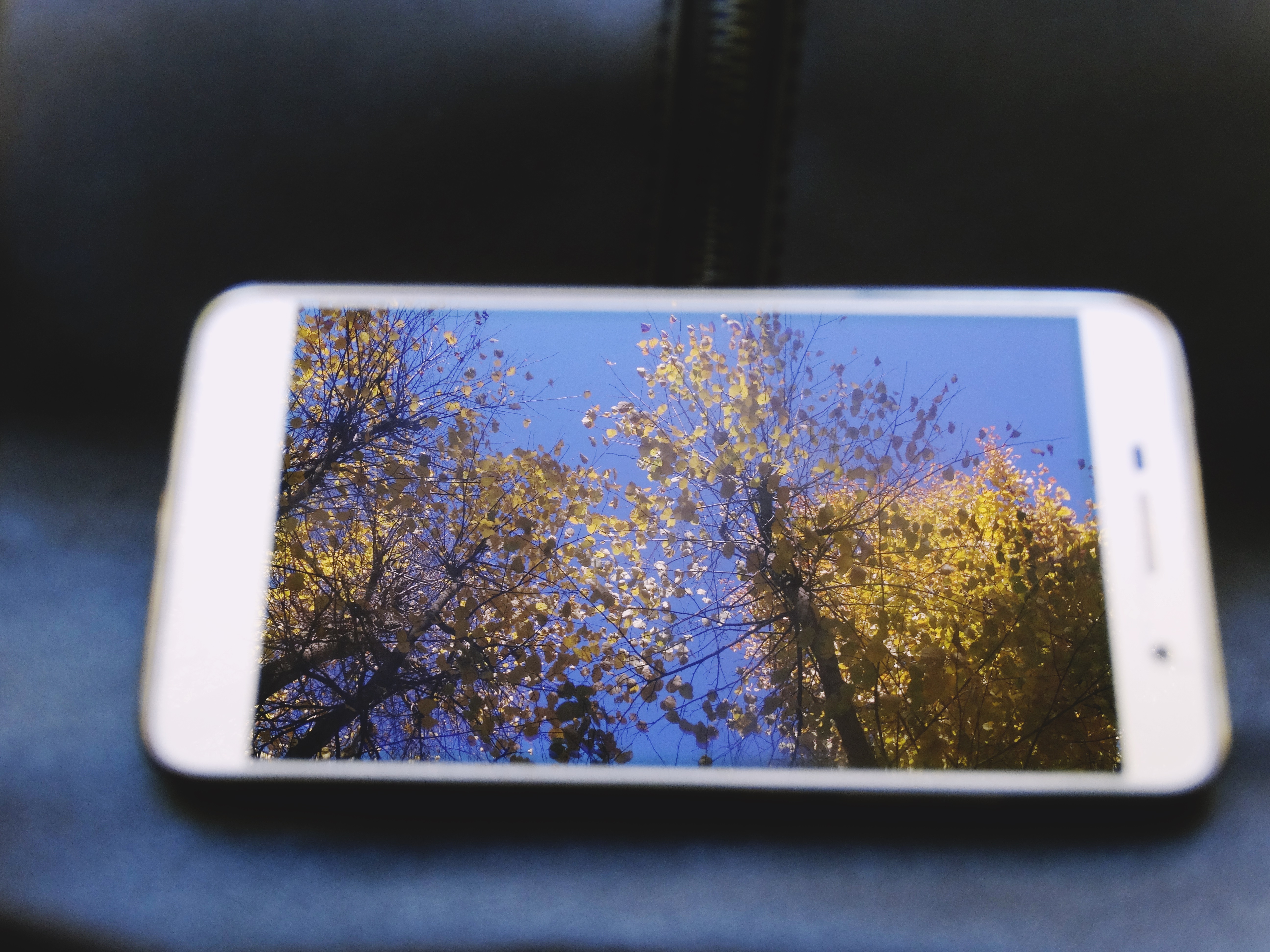 Фотолайфхак: Мир в рамке