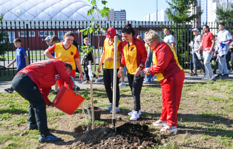 В Твери в память о жертвах террора высадили 12 кленов В Твери в память о жертвах террора высадили 12 кленов