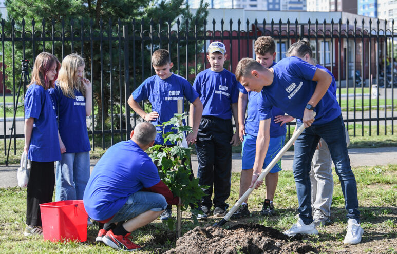 В Твери в память о жертвах террора высадили 12 кленов
