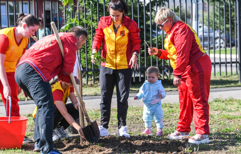 В Твери в память о жертвах террора высадили 12 кленов В Твери в память о жертвах террора высадили 12 кленов