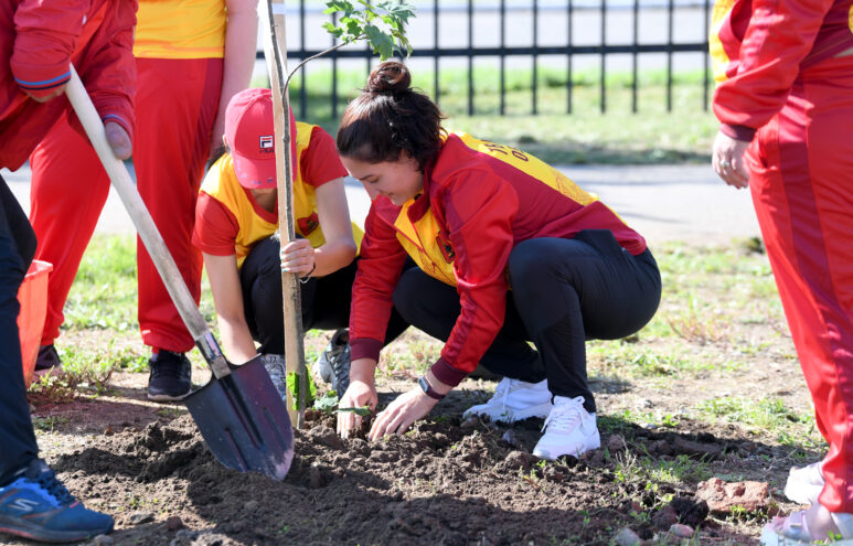 В Твери в память о жертвах террора высадили 12 кленов В Твери в память о жертвах террора высадили 12 кленов