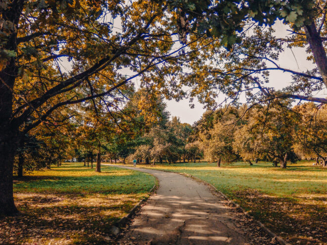 В Тверской области осуществляются проекты по развитию общественных пространств и территорий региона