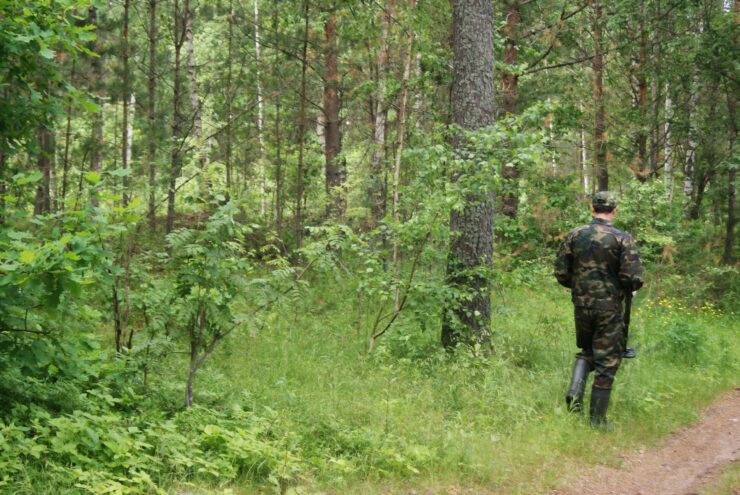 В Тверской области в лесу нашли тело пенсионера В Тверской области в лесу нашли тело пенсионера