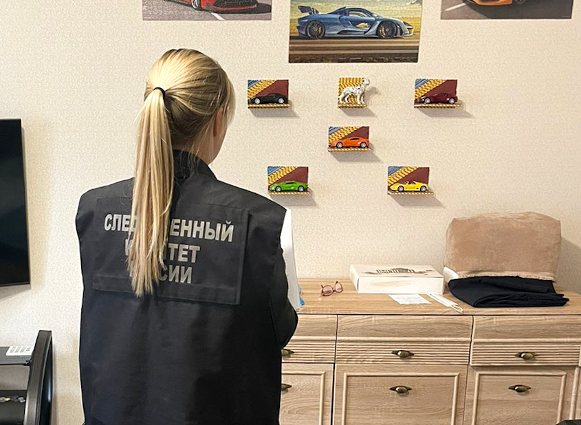 Подозреваемая в убийстве матери жительница Тверской области арестована Подозреваемая в убийстве матери жительница Тверской области арестована
