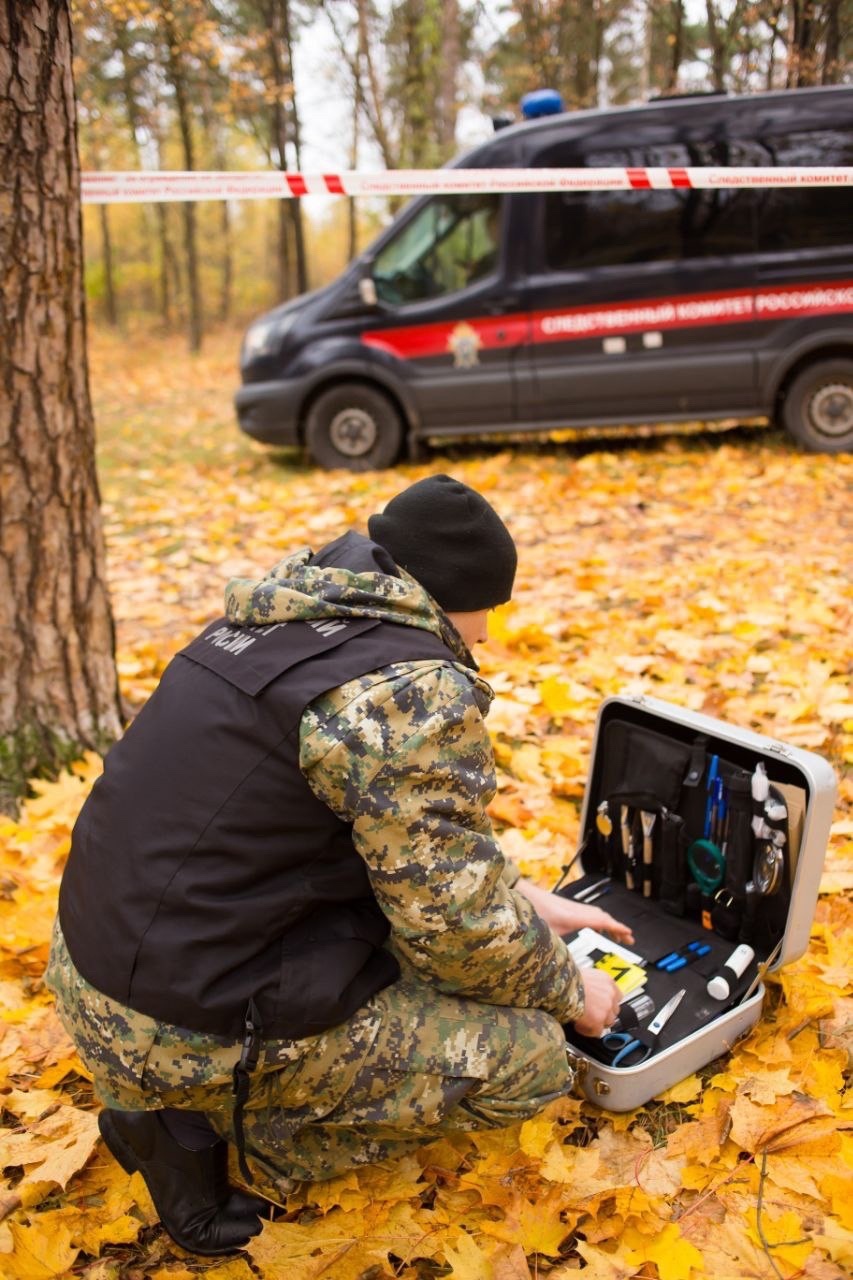 В лесу в Тверской области нашли тело пенсионера В лесу в Тверской области нашли тело пенсионера