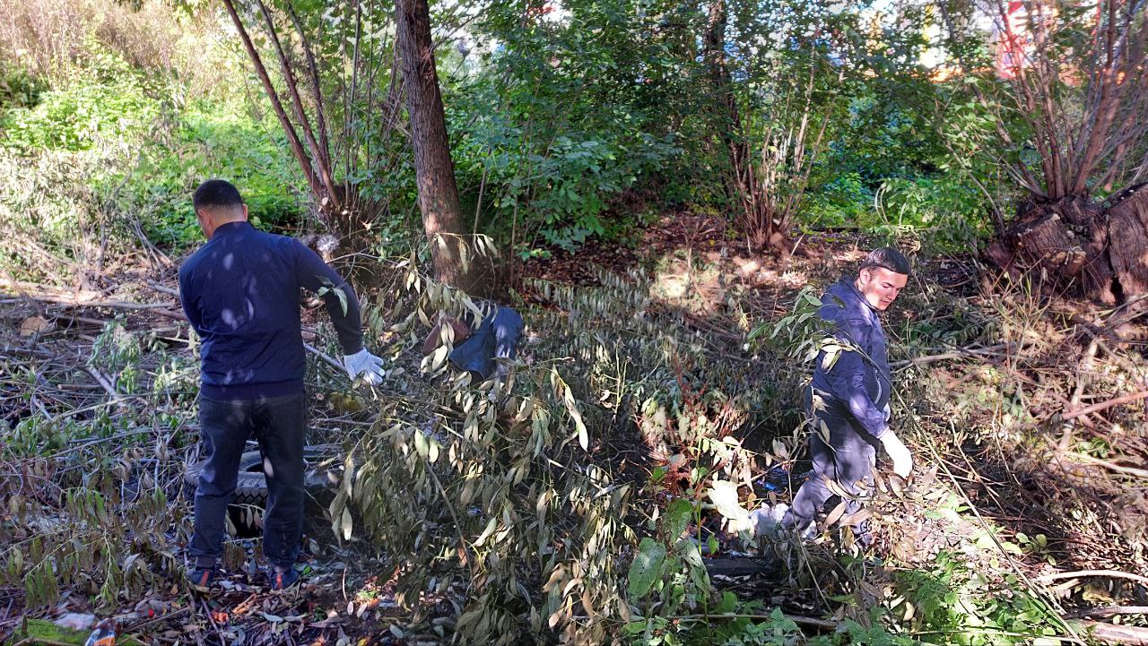 В Тверской области прошел День чистоты