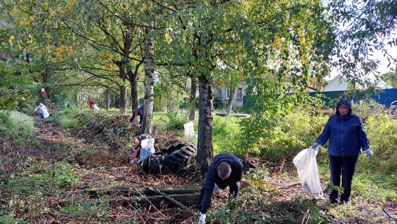 В Тверской области прошел День чистоты