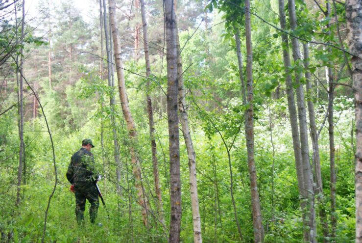 Погибшую жительницу Тверской области нашли в лесу Погибшую жительницу Тверской области нашли в лесу