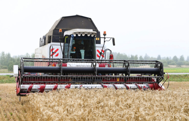 В Тверской области завершается уборка озимых зерновых