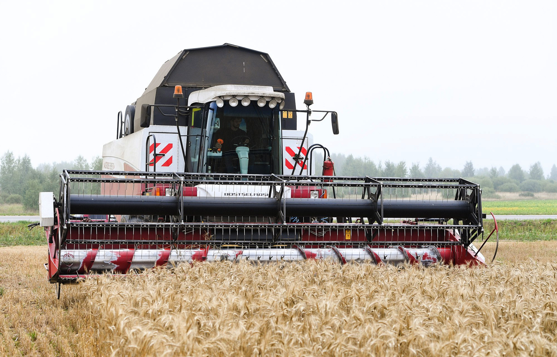 В Тверской области завершается уборка озимых зерновых