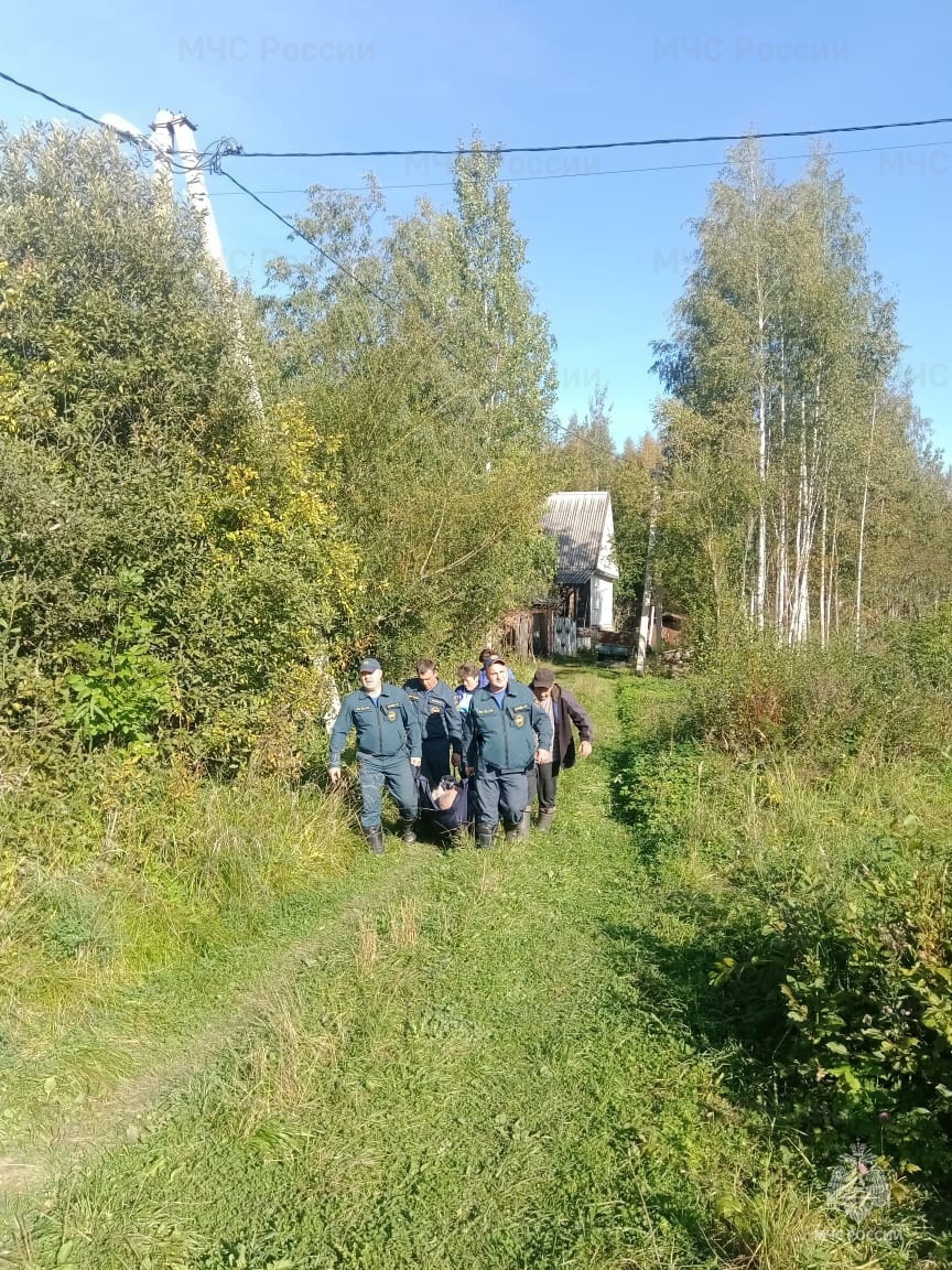 Из леса в Тверской области вынесли истощенного мужчину Из леса в Тверской области вынесли истощенного мужчину
