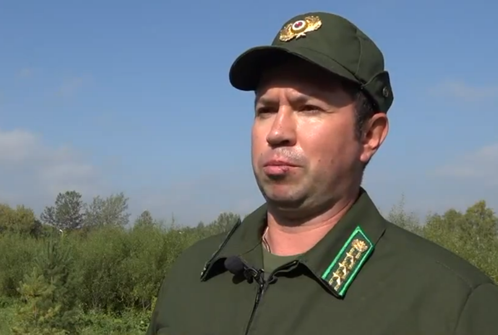 Илья Лобанов: Лес - главное богатство Верхневолжья