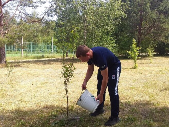 Сад памяти Спеховской школы в Бологовском округе становится всё больше