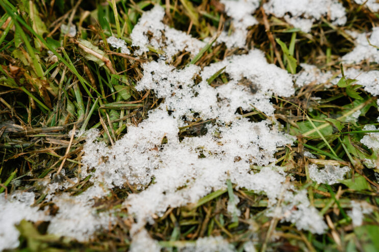 В воскресенье в Тверской области ожидается мокрый снег В четверг в Тверской области ожидается дождь