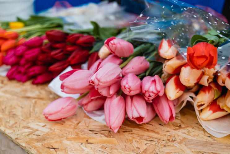 В Бежецке провели мониторинг фитосанитарного состояния цветочного павильона В Бежецке провели мониторинг фитосанитарного состояния цветочного павильона