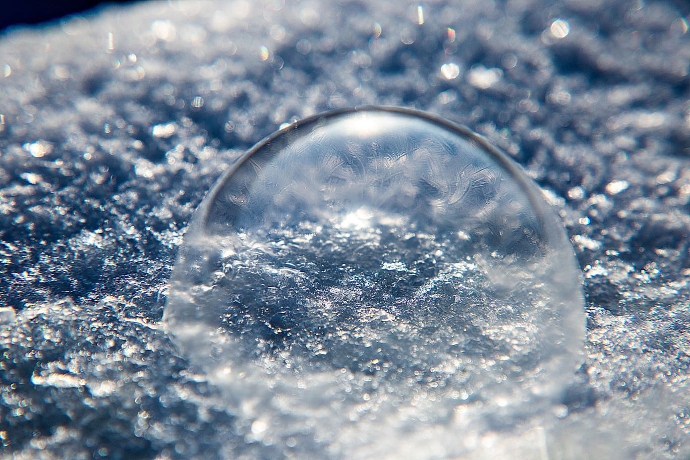 Фотолайфхак: Особенности макромира