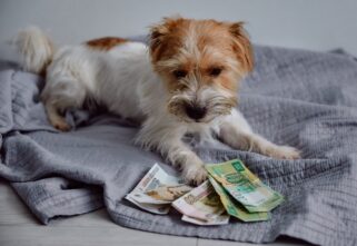 Жители Тверской области выиграли в лотерею больше 115 миллионов рублей Жители Тверской области выиграли в лотерею больше 115 миллионов рублей