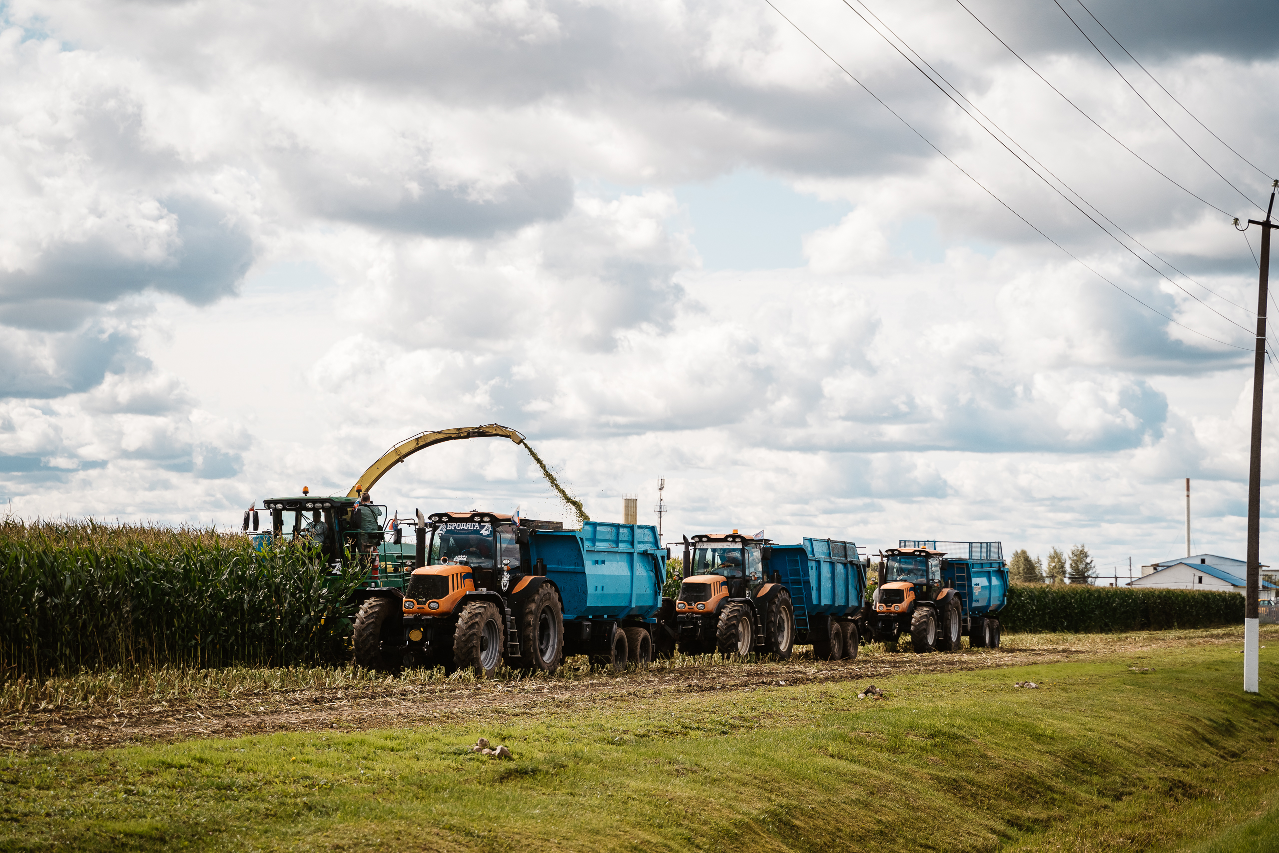 В Тверской области увеличена поддержка сельхозтоваропроизводителей