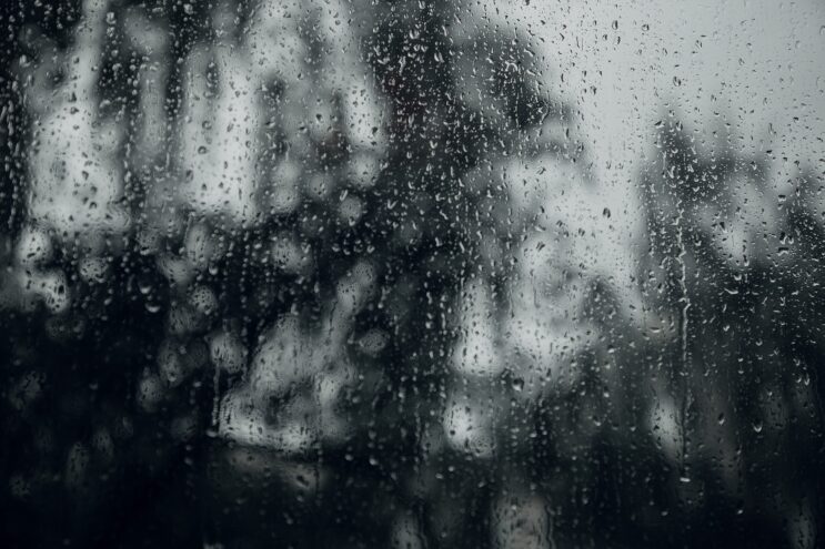 Жителей Тверской области ждет дождливый вторник