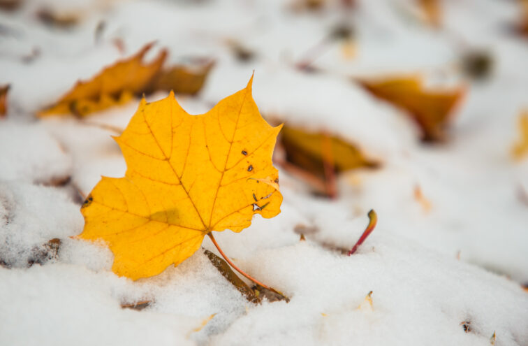 В каких районах Тверской области 4 ноября испортится погода