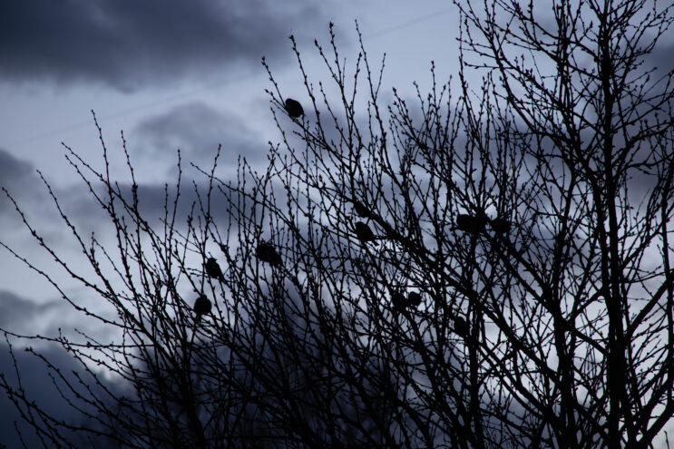 Жителей Тверской области ждет дождливая пятница