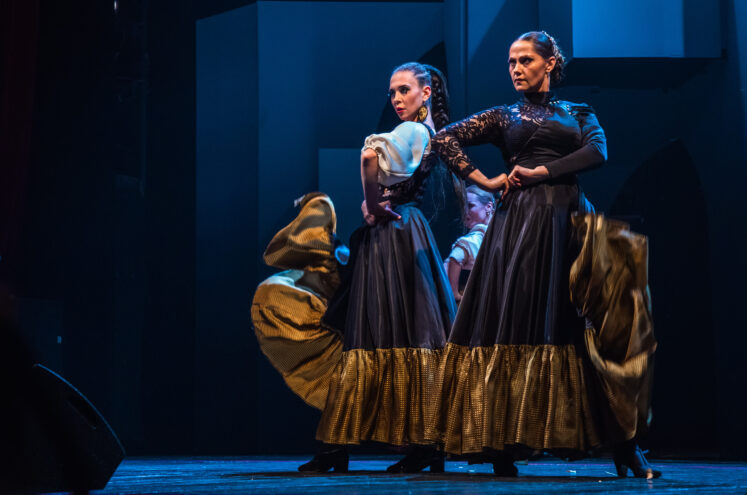 В Тверском театре драмы сыграют спектакль "Дурочка" В Тверском театре драмы сыграют спектакль "Дурочка"