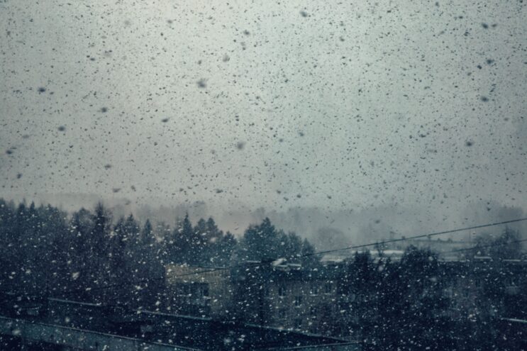 В ближайшие часы в Тверской области ожидаются сильные осадки В Тверскую область вернутся осадки