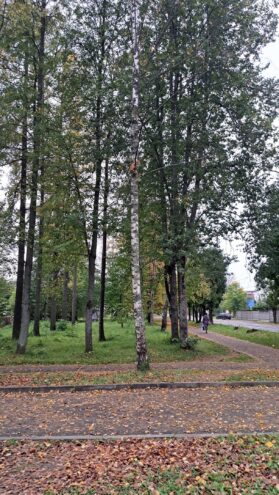 В городе Нелидово сотрудники МЧС спасли кота