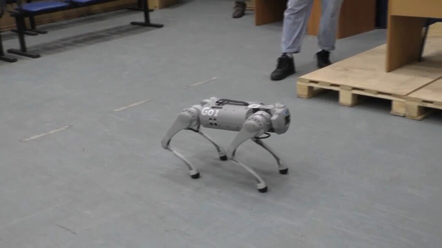 В Твери побывала робо-собака