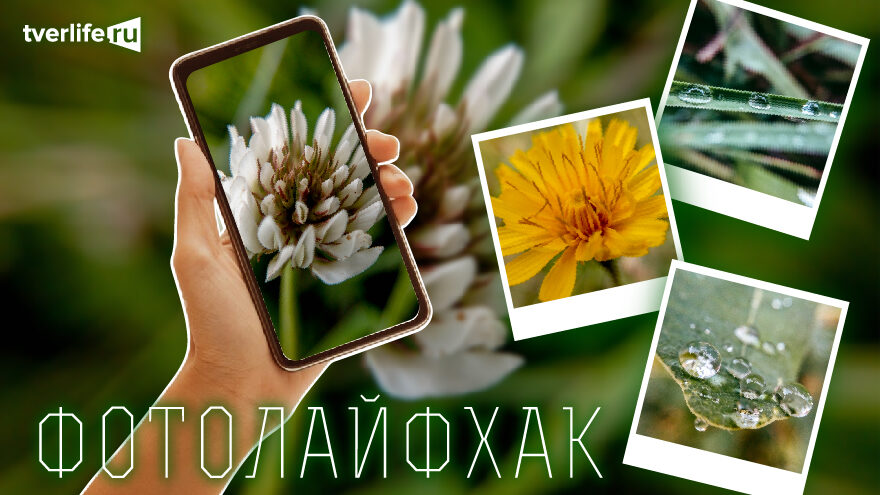 Фотолайфхак: Особенности макромира