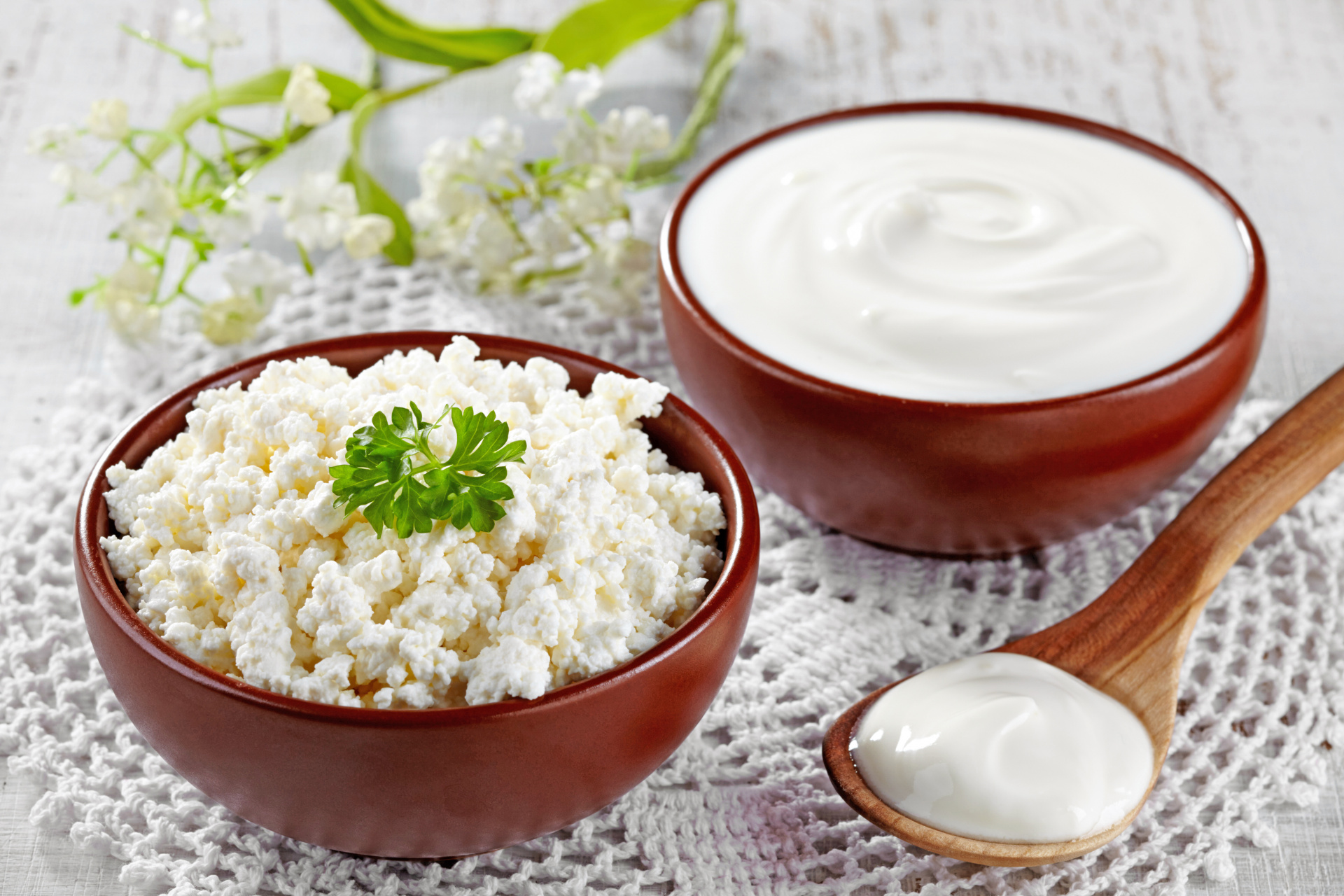В фермерских молочных продуктах выявлены бактерии группы кишечной палочки В фермерских молочных продуктах выявлены бактерии группы кишечной палочки