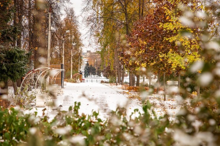 В Твери ожидается снегопад и гололед В Твери ожидается снегопад и гололед