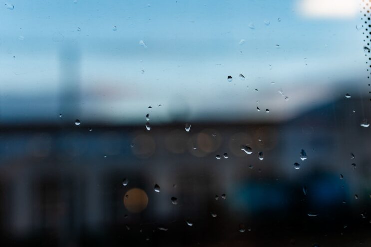 Жителей Тверской области ждет дождливая рабочая неделя