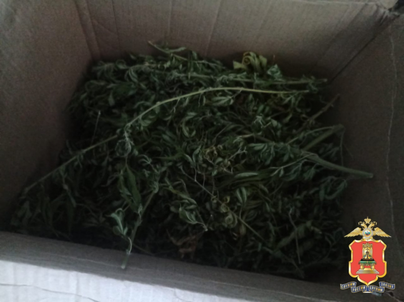 У жителя Кимр дома нашли порядка килограмма наркотиков