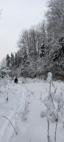 Бригады «Тверьэнерго» продолжают восстанавливать нарушенное балканским циклоном электроснабжение жителей области