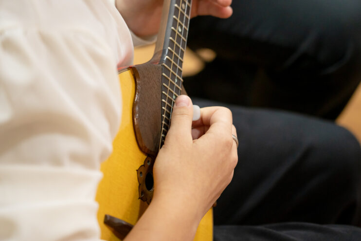 В Твери пройдёт IV Всероссийский открытый конкурс молодых исполнителей на народных инструментах им. В.В. Андреева