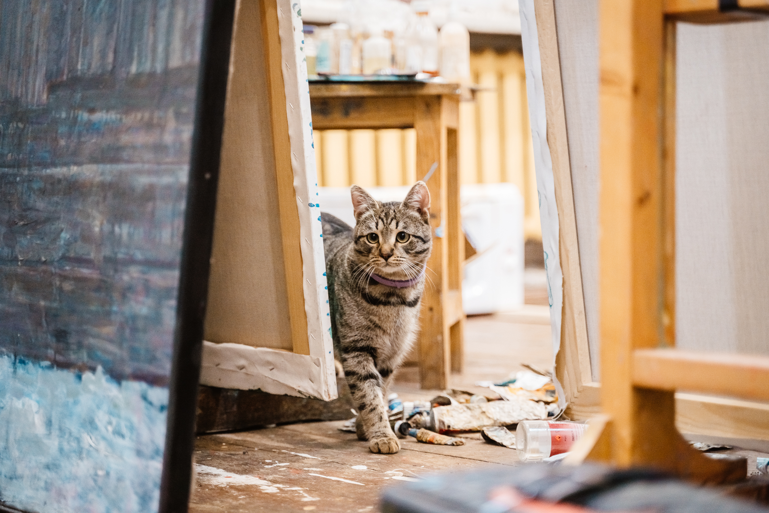 Блогер передал атмосферу известной "Академички" в Тверской области