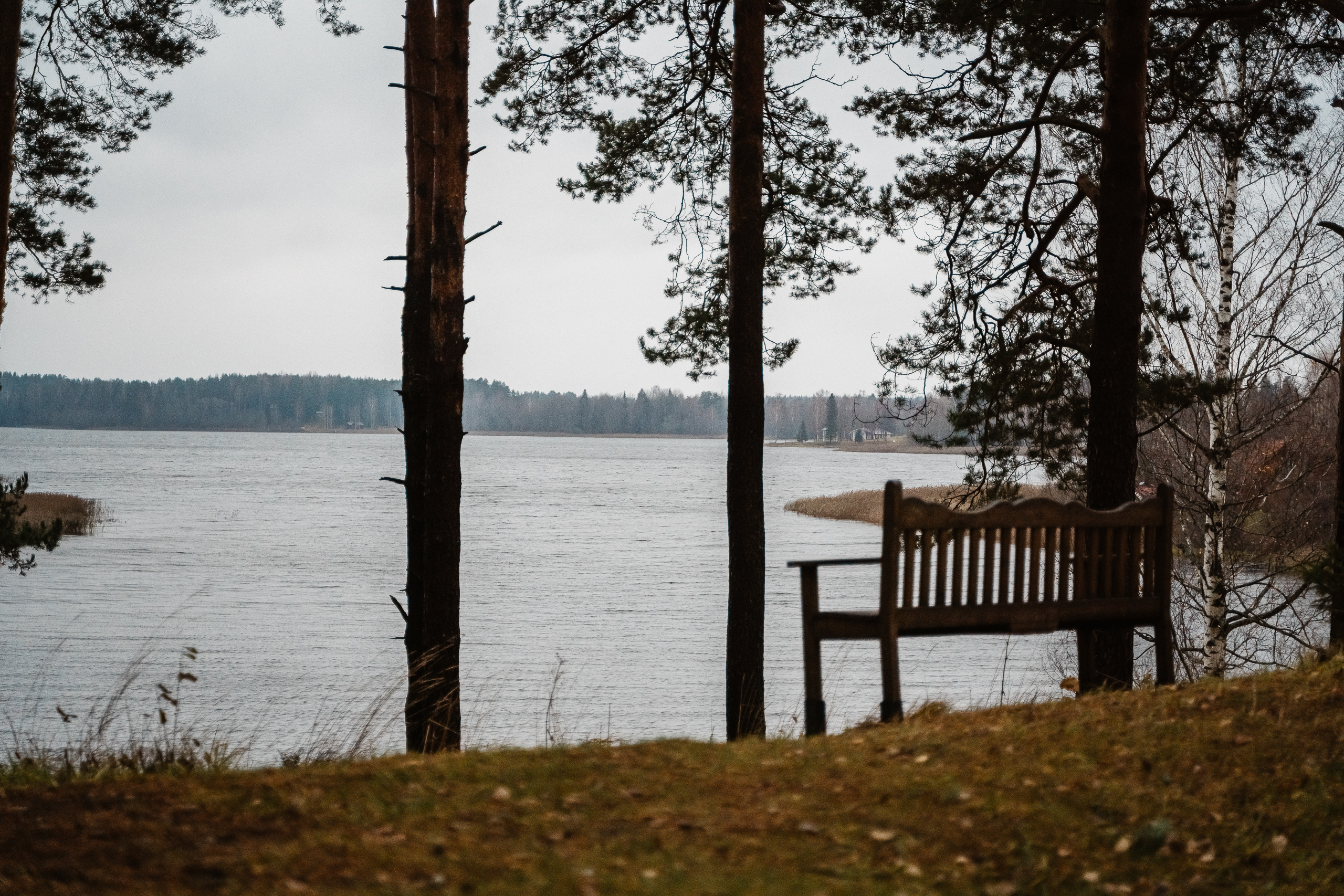 Блогер передал атмосферу известной "Академички" в Тверской области