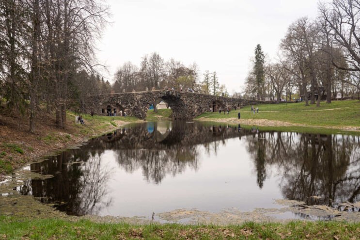 В Тверской области проходит экологическая акция «Поддержим братьев наших меньших»