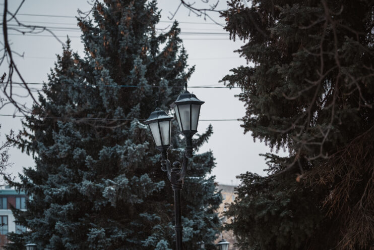 В Тверской области сохраняется морозная погода В Тверской области сохраняется морозная погода